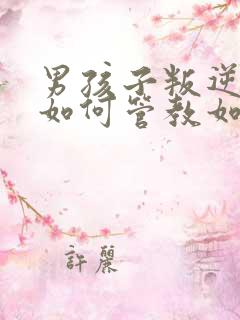 男孩子叛逆期该如何管教如何开导