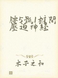 腰5骶1椎间盘压迫神经