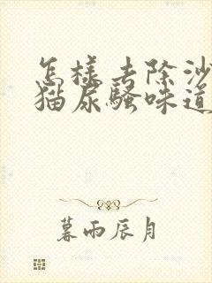 怎样去除沙发上猫尿骚味道