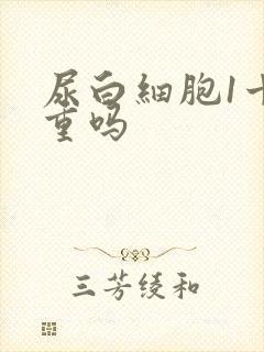 尿白细胞1十严重吗