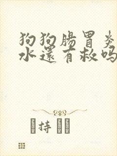 狗狗肠胃炎拉血水还有救吗