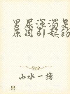 男尿浑浊是什么原因引起的