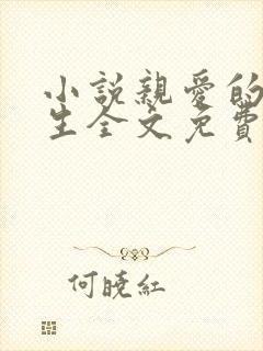 小说亲爱的陆先生全文免费阅读