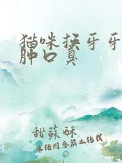 猫咪换牙牙龈红肿口臭