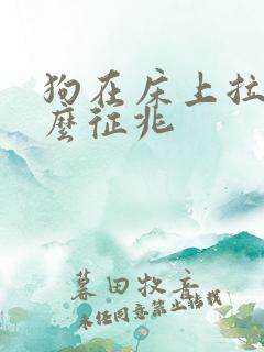 狗在床上拉尿什么征兆