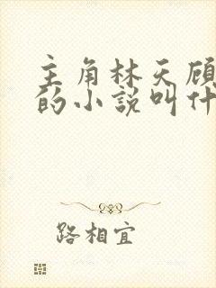 主角林天顾悦瑶的小说叫什么