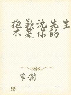 抱歉沈先生孩子不是你的