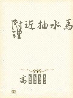 附近抽水马桶修理