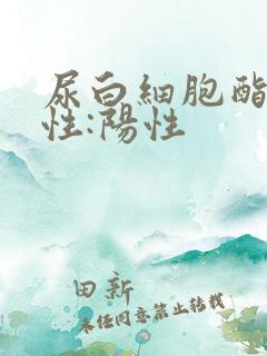 尿白细胞酯酶阳性:阳性