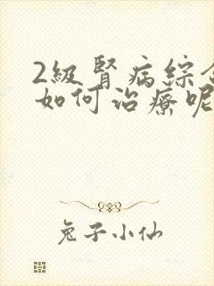 2级肾病综合征如何治疗呢