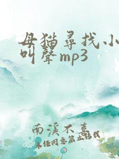 母猫寻找小猫的叫声mp3