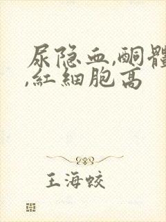 尿隐血,酮体高,红细胞高