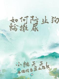 如何防止狗在车轮撒尿