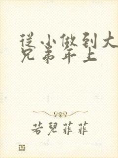 从小做到大骨科兄弟年上