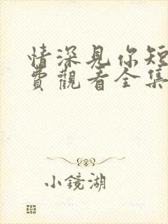 情深见你短剧免费观看全集