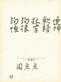 狗狗拉软便带血但很有精神