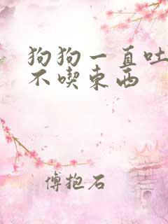 狗狗一直吐拉稀不吃东西