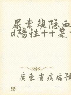 尿常规隐血bld阳性++是什么意思