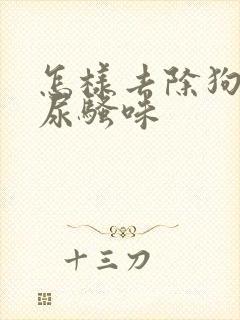 怎样去除狗狗的尿骚味