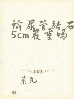 输尿管结石0.5cm严重吗