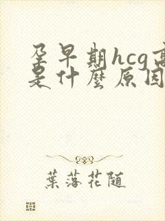 孕早期hcg高是什么原因