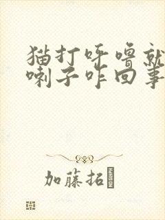 猫打呼噜就流哈喇子咋回事