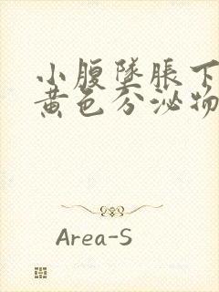 小腹坠胀下体有黄色分泌物