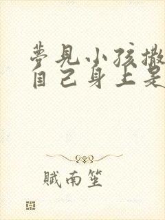 梦见小孩撒尿在自己身上是什么意思