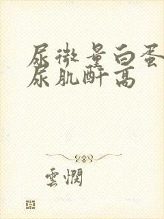 尿微量白蛋白高尿肌酐高