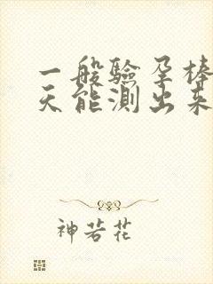 一般验孕棒多少天能测出来