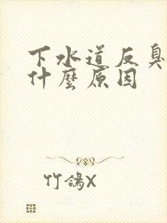 下水道反臭味是什么原因