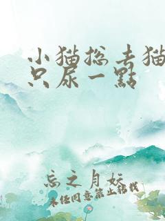 小猫总去猫砂盆只尿一点