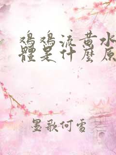 鸡鸡流黄水状液体是什么原因