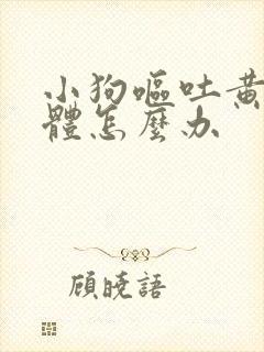 小狗呕吐黄色液体怎么办