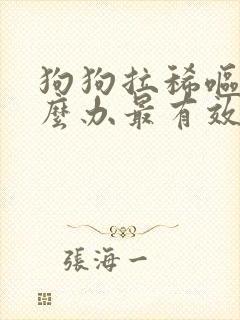 狗狗拉稀呕吐怎么办最有效的方法