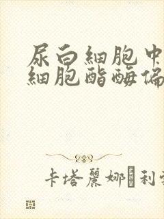 尿白细胞中性粒细胞酯酶偏高