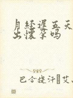 月经迟五天能验出怀孕吗