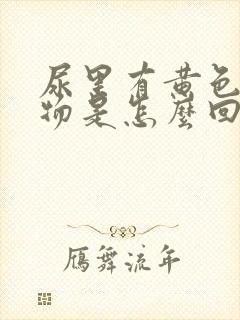 尿里有黄色分泌物是怎么回事