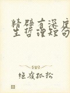 精辟有深度的人生哲理短句