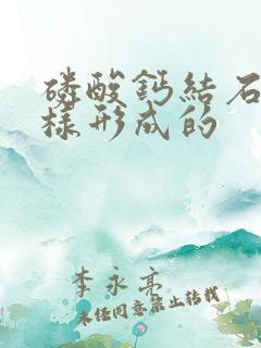 磷酸钙结石是怎样形成的