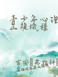 青少年心理疏导正规机构