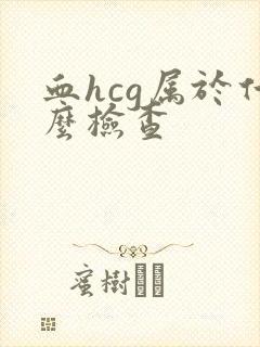 血hcg属于什么检查