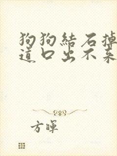 狗狗结石掉到尿道口出不来怎么办