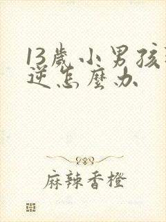 13岁小男孩叛逆怎么办