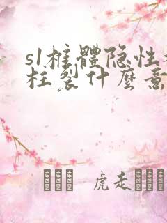 s1椎体隐性脊柱裂什么意思