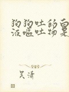 狗狗吐的白色粘液呕吐物是咋回事