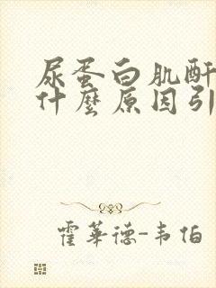 尿蛋白肌酐高是什么原因引起的