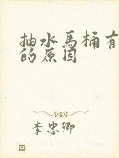 抽水马桶有臭味的原因