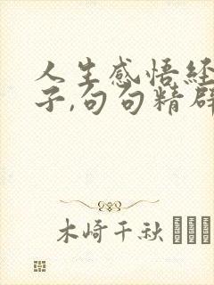 人生感悟经典句子,句句精辟入骨