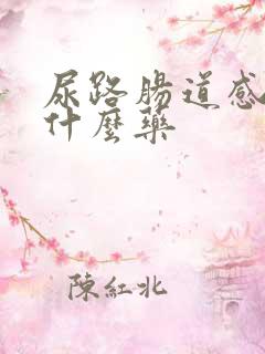 尿路肠道感染吃什么药